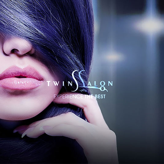 Twins Salon - Web Design and Development Houston TX